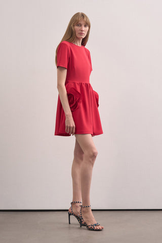 Rose Detailed Design Dress