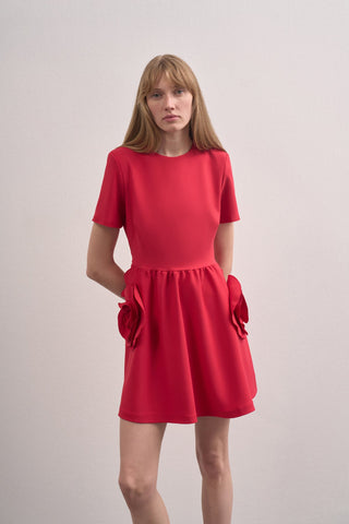 Rose Detailed Design Dress