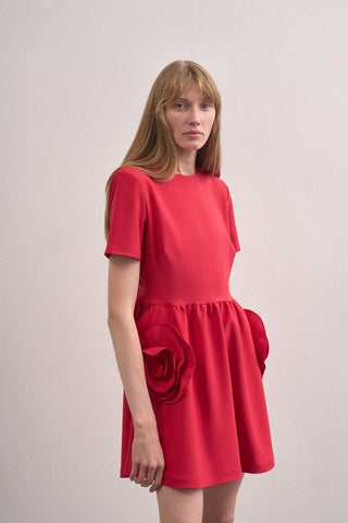 Rose Detailed Design Dress