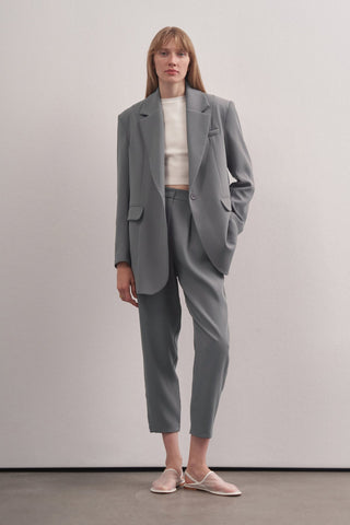 Gray Special Edition Carrot Trousers