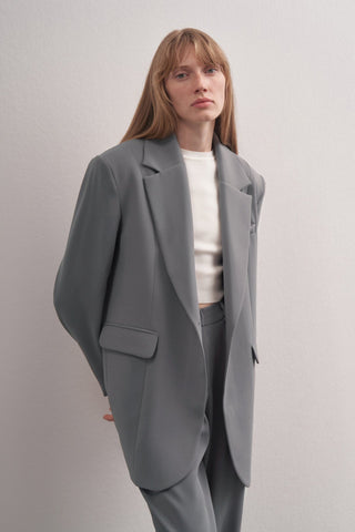 Special Edition Blazer Carrot Trousers Set Grey